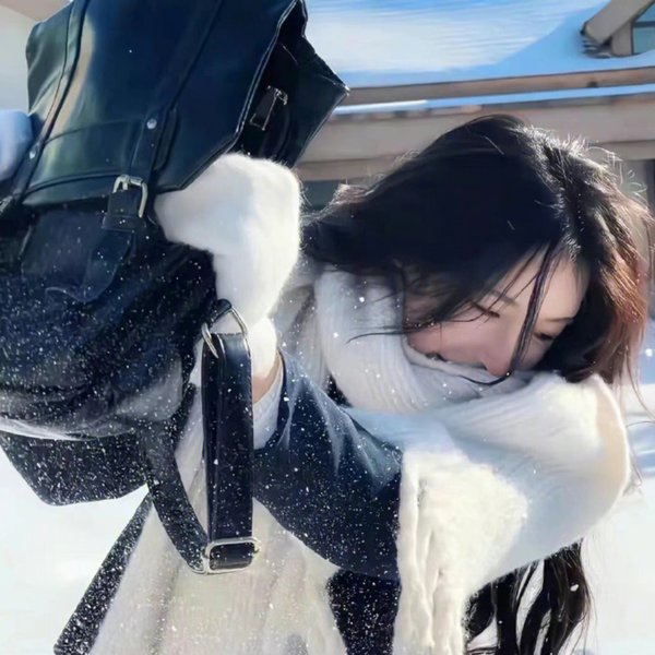 呆瓜兄弟海报