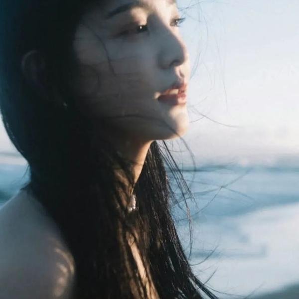 哈妮拉警报海报
